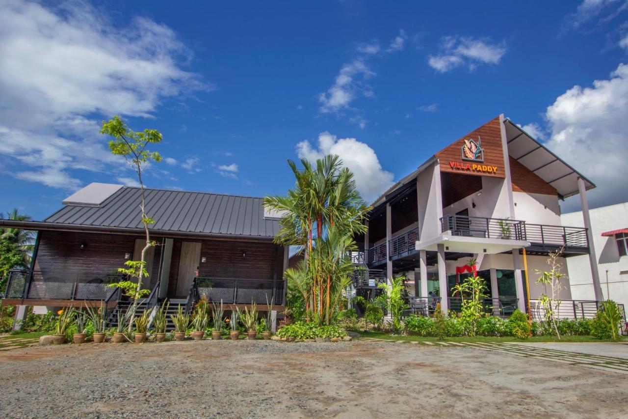 Villa Paddy Padang Mat Sirat Exteriör bild